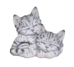 Kattungar-Kissanpennut