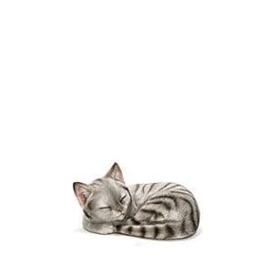 Sovande-katt